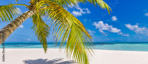 Fototapeta Naklejka Na Ścianę i Meble -  Tropical beach shore panorama as summer relax landscape and palm tree leaves over white sand blue sea sky beach banner. Amazing vacation summer holiday. Wellbeing happy travel freedom carefree concept