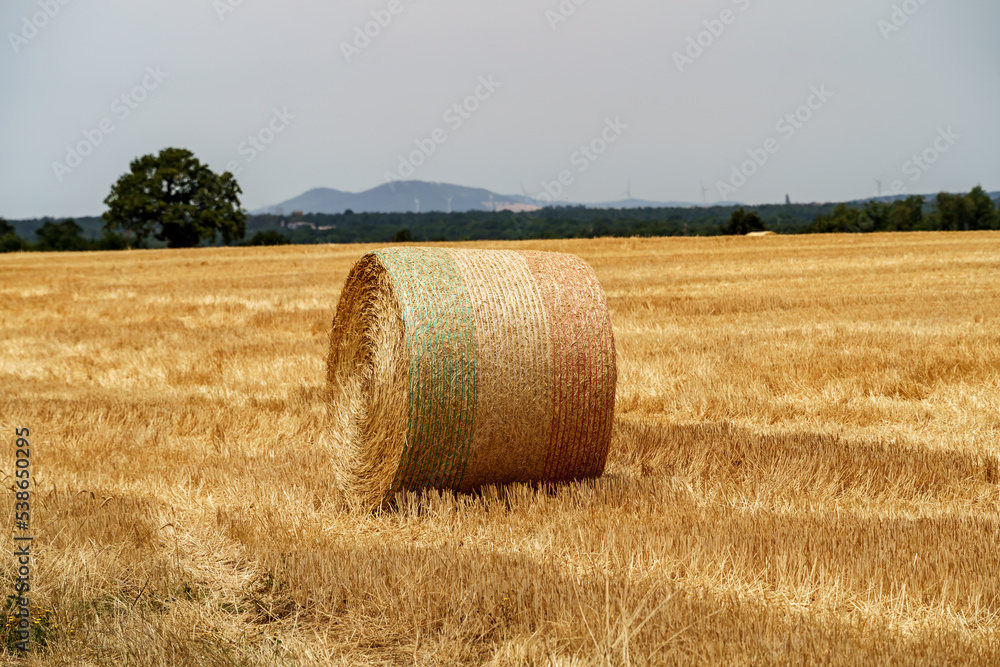 Italy 2022 - Toscania