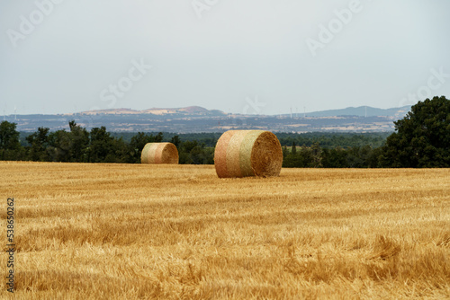 Italy 2022 - Toscania