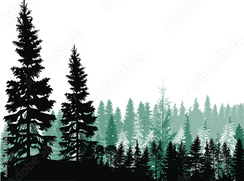 cyan coniferous forest on white