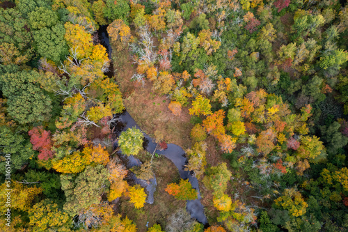 Aerial Drone view looking down into an autumn forest and a small creek showing the fall colors