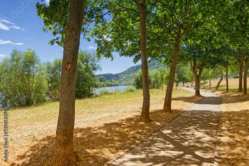 Fuß- und Radweg entlang der Mosel in Kesten