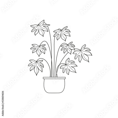 Houseplant Fatsia japonica, doodle, potted flower, simple drawing