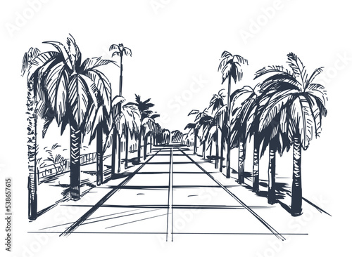 Alley with palm trees. southern landscape. Hand drawn vector sketch illustration