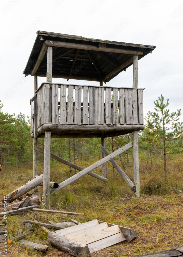 an old wooden lookout tower at the edge of a marsh, marsh vegetation in autumn an old wooden lookout tower at the edge of a marsh, marsh vegetation in autumn