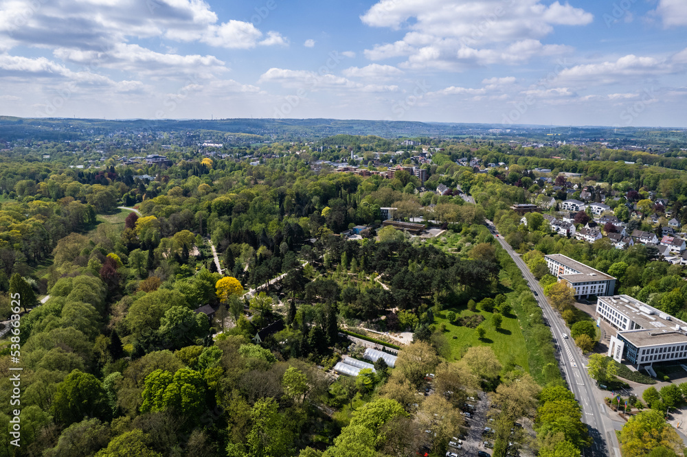 Obraz premium Rombergpark Dortmund