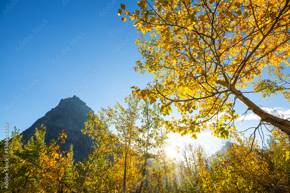 Fototapeta premium Autumn in Glacier Park