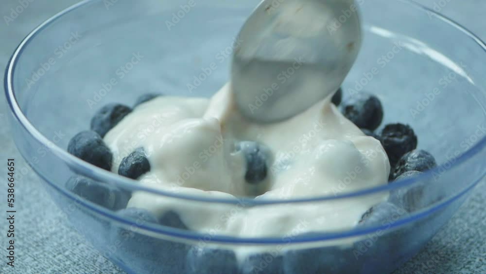 close up of fresh yogurt with blue berry in a bowl close up of fresh yogurt with blue berry in a bowl