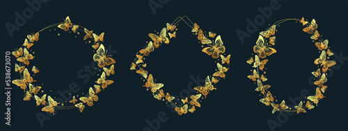Butterflies golden frames, gorgeous wedding decoration. Gold butterfly wreaths, exotic insects circle decor flat vector background illustration. Gorgeous butterflies frames elements