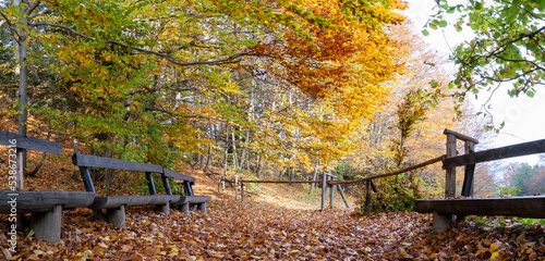 Obraz na płótnie Jesień w Pienińskim Parku. Autumn in the Pieniny Park. w salonie