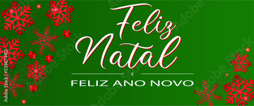 cart  o ou banner para um feliz natal e um feliz ano novo em branco sobre um fundo verde com flocos de neve de cada lado  estrelas e lantejoulas vermelhas