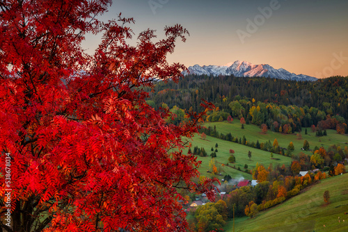 Beautiful autumn with red an yellow trees under the Tatra Mountains at dawn. Slovakia