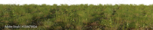 Fototapeta Naklejka Na Ścianę i Meble -  grass with flowers isolated white background 3d rendered
