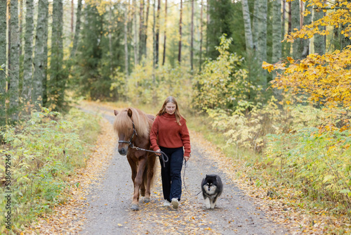 Young woman walking on gravel road with Icelandic horse and Lapponian Herder in autumn scenery. © AnttiJussi