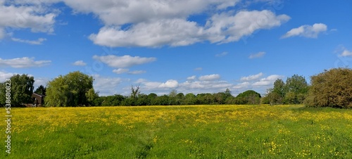Beautiful bright summer countryside country landscape in Harrogate filelds, England North Yorkshire UK