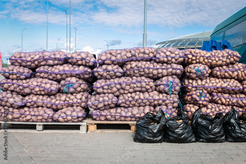 Lots of potatoes in mesh bags on pallets for sale at a farmer's market. Vegetable trade. photo