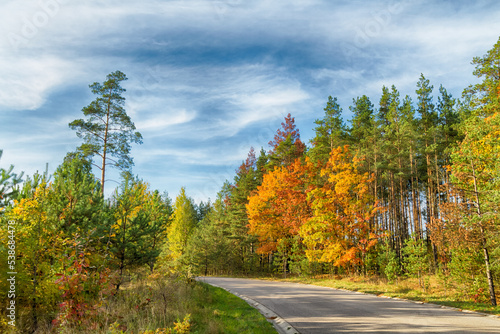 Landscape autumn road with colourful trees  autumn Poland  Europe and amazing blue sky with clouds  sunny day