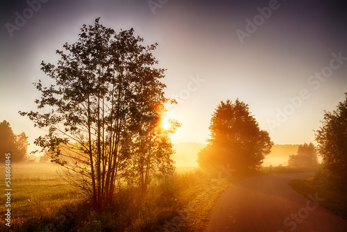 Landscape sunset in Narew river valley  Poland Europe  foggy misty meadows with trees  spring time