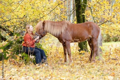 Young woman sitting on the rock under yellow maple tree with Icelandic horse © AnttiJussi