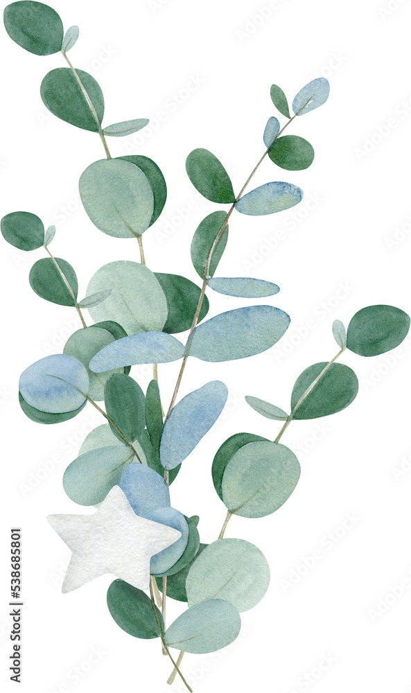 Watercolor hand drawn winter bouquet with eucalyptus leaves Watercolor hand drawn winter bouquet with eucalyptus leaves