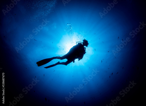 Bild auf Leinwand Scuba diver
