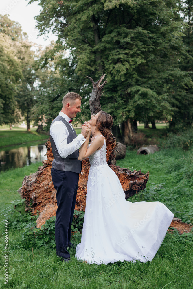 Side view of wedding couple standing near roots of fallen tree in park interlacing fingers. Young woman raising one leg.