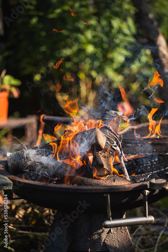 Bright flames of burning branches in the grill - firewood in the brazier before cooking