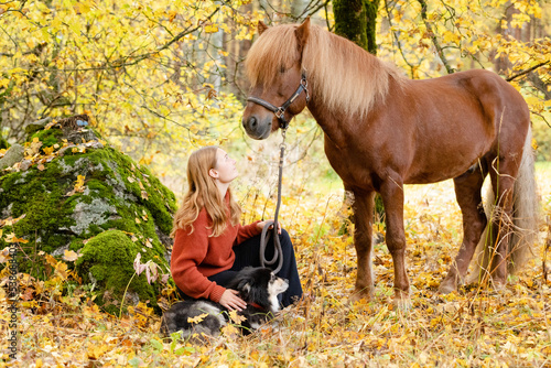 Young woman under yellow maple tree with Icelandic horse and Lapponian Herder in autumn scenery