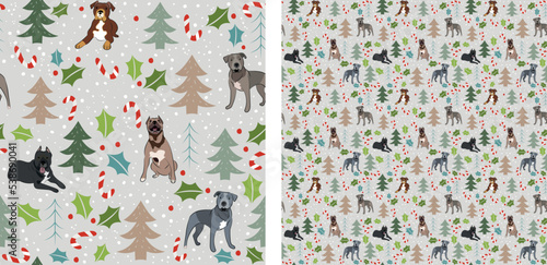 Seamless dog pattern, winter Christmas texture. Square format, t-shirt, poster, packaging, textile, socks, textile, fabric, decoration, wrapping paper. Trendy hand-drawn husky dogs, pit bull breed.