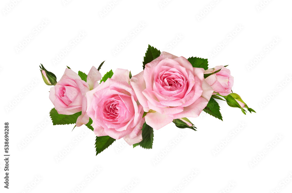 Pink rose flowers in a wave floral arrangement isolated Pink rose flowers in a wave floral arrangement isolated