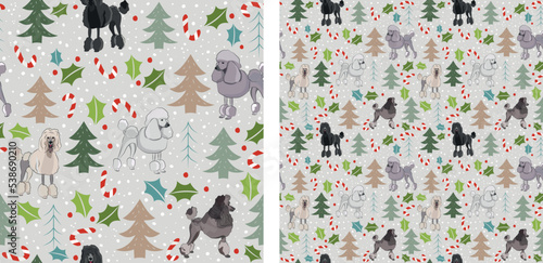 Seamless dog pattern, winter Christmas texture. Square format, t-shirt, poster, packaging, textile, socks, textile, fabric, decoration, wrapping paper. Trendy hand-drawn poodle dog breed.