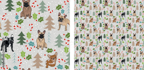 Seamless dog pattern, winter Christmas texture. Square format, t-shirt, poster, packaging, textile, socks, textile, fabric, decoration, wrapping paper. Trendy hand-drawn french bulldog dog breed.