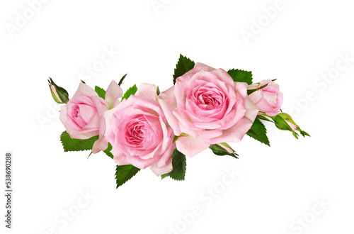 Pink rose flowers in a wave floral arrangement isolated