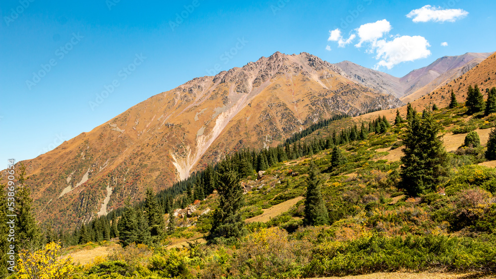 Fototapeta premium landscape in the mountains