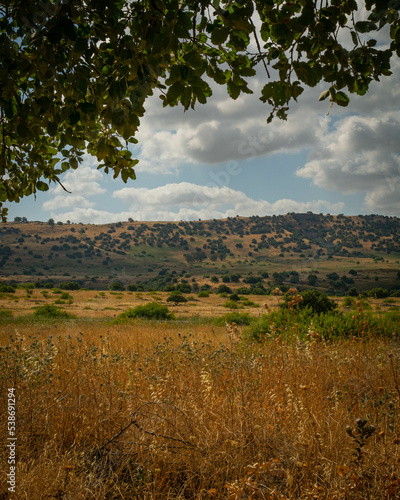 The mountain view is mesmerizing. The water elements such as lakes, waterfalls, or rivers highlight how the mountains have been shaped. 
The color change between autumn and spring is breathtaking!