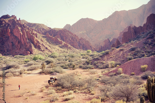 Wild west-like cowboy desert landscape around Tupiza  Bolivia. 