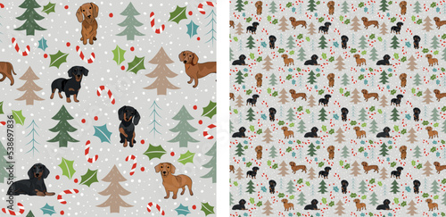 Seamless dog pattern, winter Christmas texture. Square format, t-shirt, poster, packaging, textile, socks, textile, fabric, decoration, wrapping paper. Trendy hand-drawn dachshund dog breed.