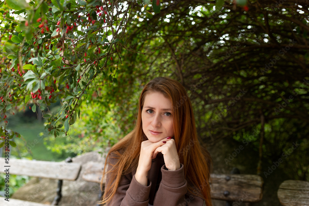 portrait of a young woman under the branches of barberry. woman portrait in autumn park portrait of a young woman under the branches of barberry. woman portrait in autumn park