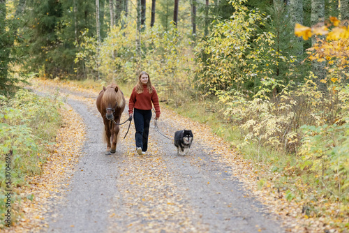 Young woman walking on gravel road with Icelandic horse and Lapponian Herder in autumn scenery.