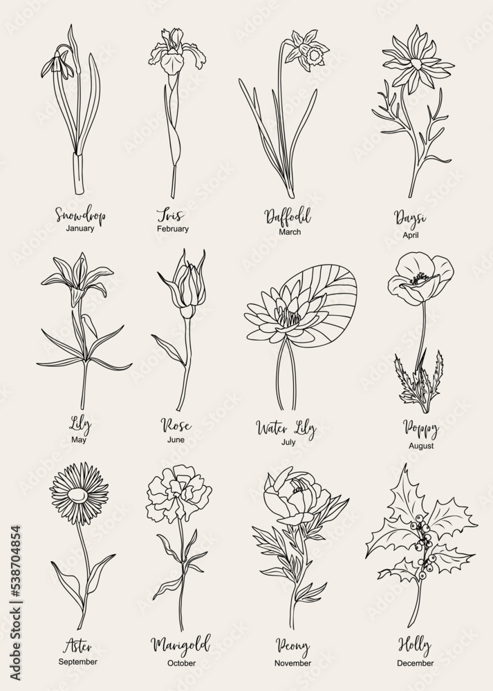 Set of flower line art vector illustrations. Snowdrop, daffodil, iris, lilies, peony, aster, holly, rose, daisy, poppy hand drawn black ink illustrations. Birth month flowers for jewelry, tattoo, logo Stock Vector
