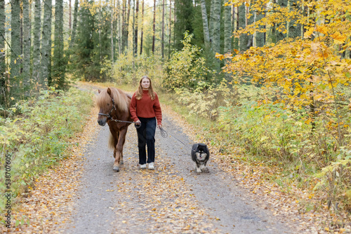 Young woman walking on gravel road with Icelandic horse and Lapponian Herder in autumn scenery.