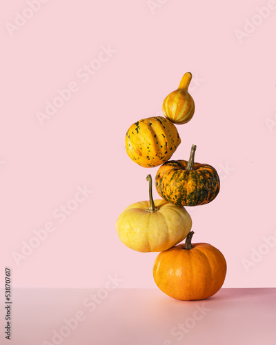 Little pumpkins balancing on light pink background. Minimalistic fall composition with copy space. Pastel autumn concept.