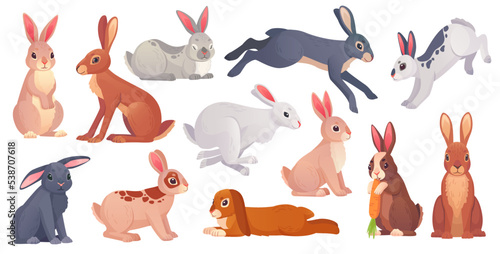 Cartoon hares poses. Wild spring gray hare with carrot, cute bunny running sleeping or standing jackrabbit, white brown easter rabbits collection