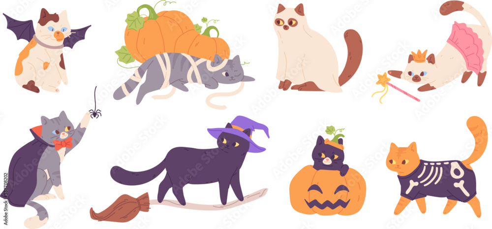 Kitten in halloween costumes. Cats in hats costume autumn holiday party of dead, funny pet skeletons black kitty sorceress or witch animal with broom, garish vector illustration