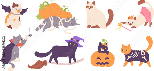 Fototapeta Naklejka Na Ścianę i Meble -  Kitten in halloween costumes. Cats in hats costume autumn holiday party of dead, funny pet skeletons black kitty sorceress or witch animal with broom, garish vector illustration