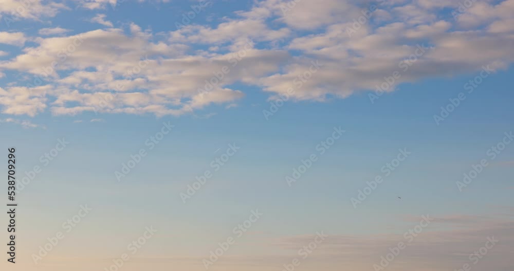 Beautiful blue sky with cumulus fluffy clouds during sunrise and flying bird Beautiful blue sky with cumulus fluffy clouds during sunrise and flying bird