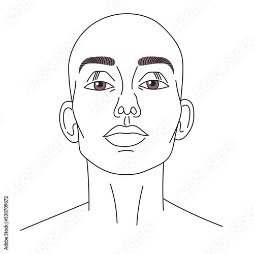 Woman face line art. Bald head. Vector illustration isolated on white background.