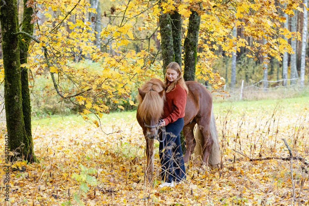 Young woman under yellow maple tree with Icelandic horse Young woman under yellow maple tree with Icelandic horse