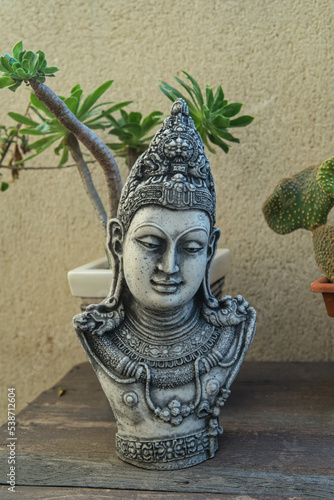 buddha head on wooden table surrounded by plants