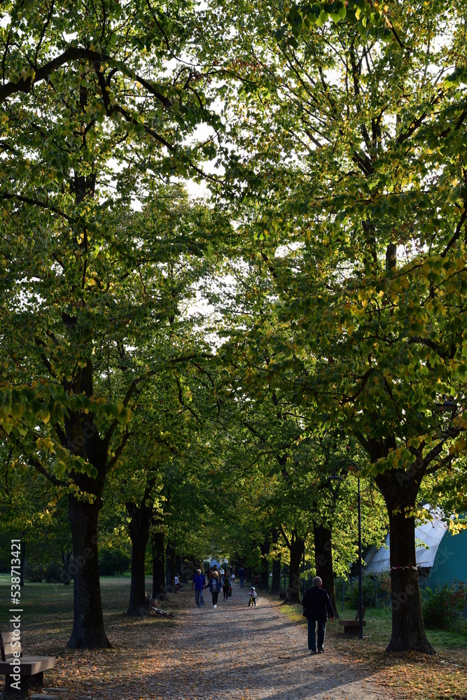 Naklejka premium OCTOBER, THE MONTH OF CHANGE. YELLOW AND GREEN STILL PREVAILS, BUT RED IS PREPARING TO APPEAR